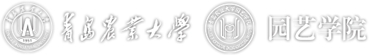 太阳成集团tyc151cc
